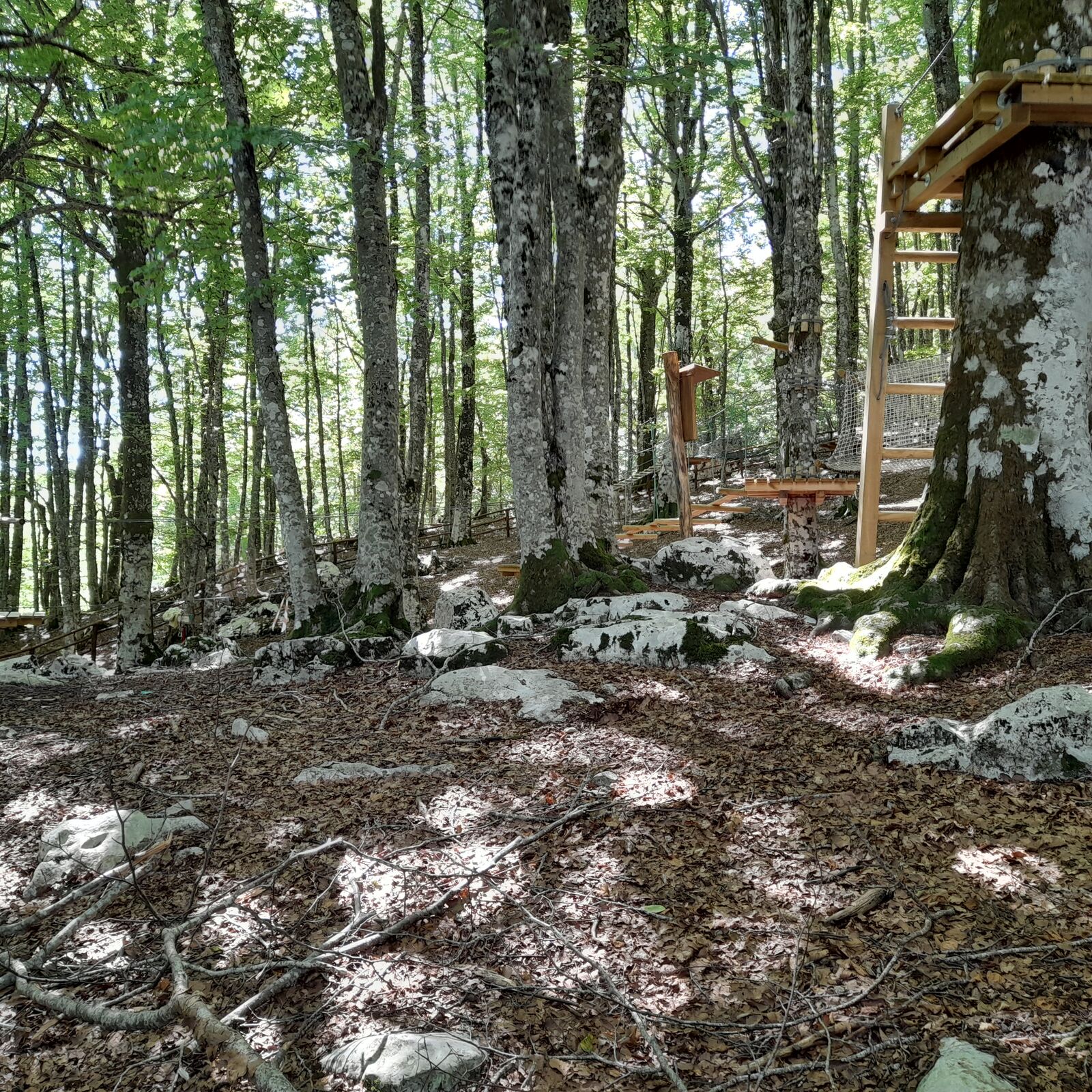 Ingegneria Naturalistica e Verde Urbano